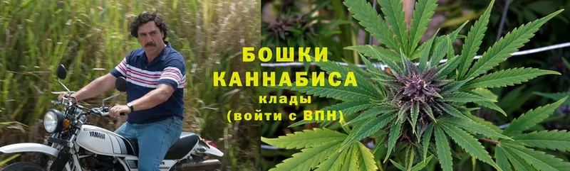 сайты даркнета официальный сайт  МЕГА tor  Бошки марихуана White Widow  Димитровград  сколько стоит 